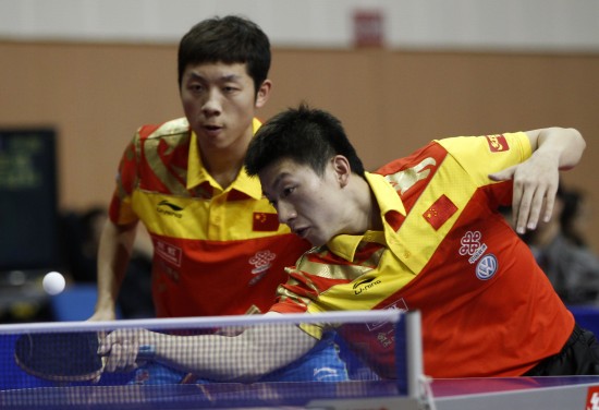 年担任灰熊 年担任灰熊