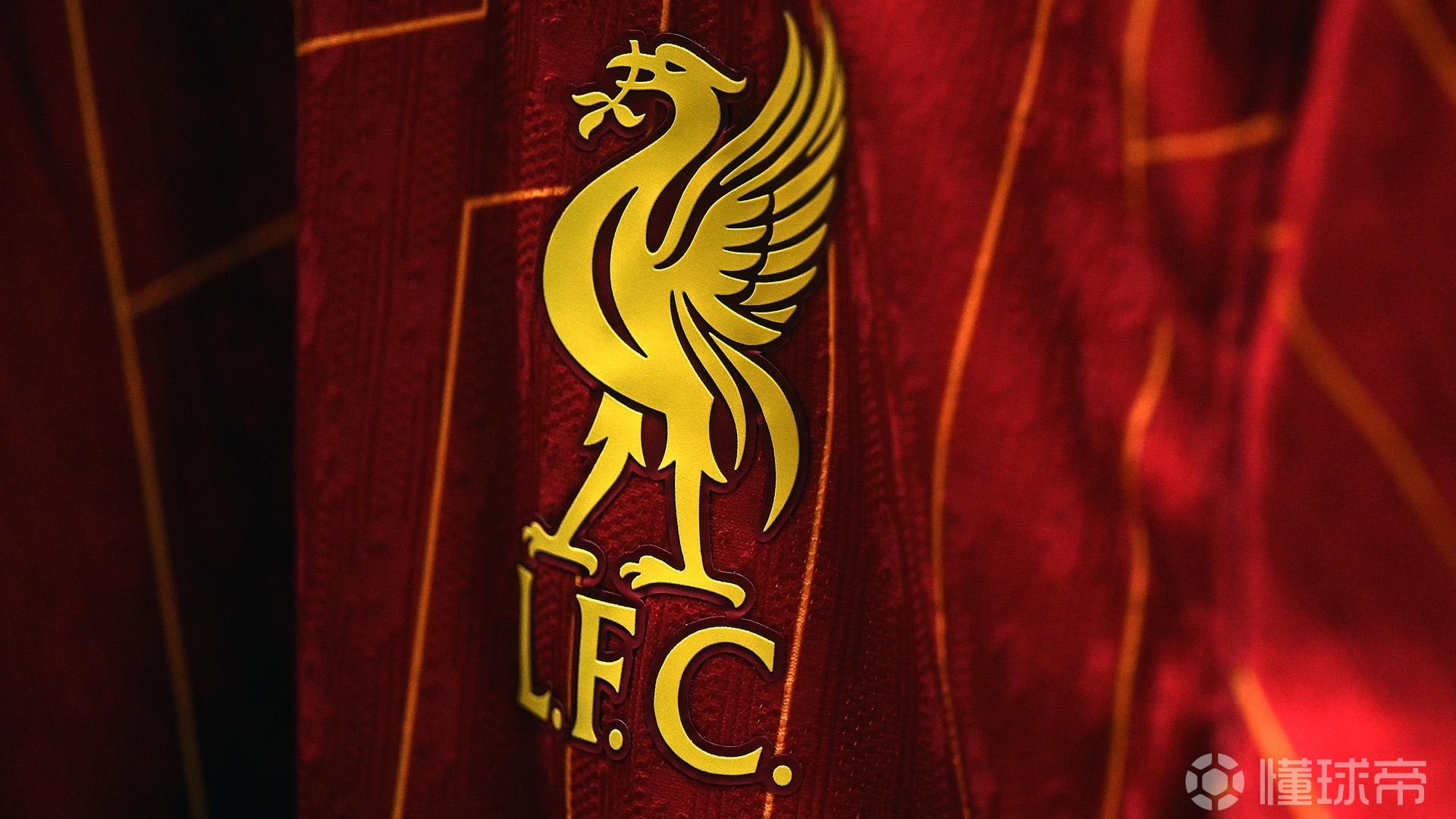 入周边与舞 入周边与舞