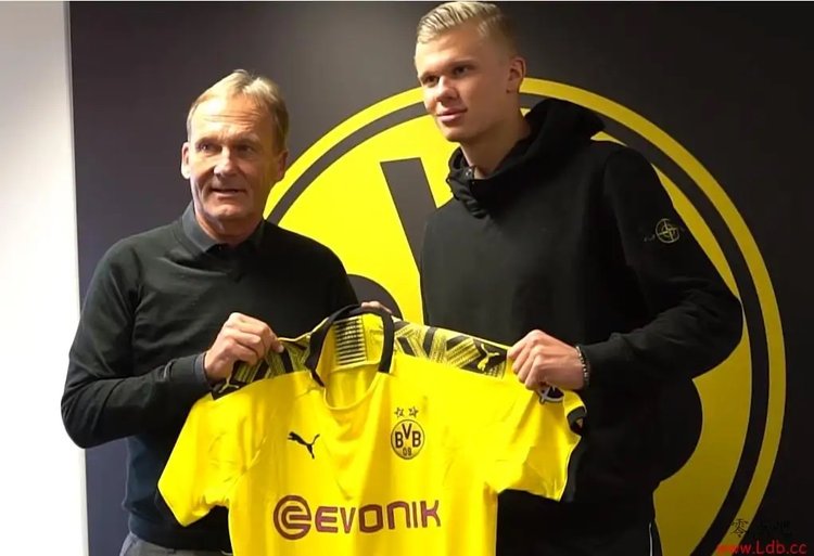 分层面的跃 分层面的跃